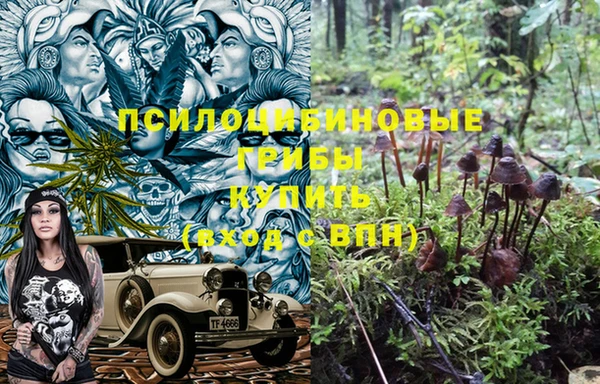 прущая мука Алексин