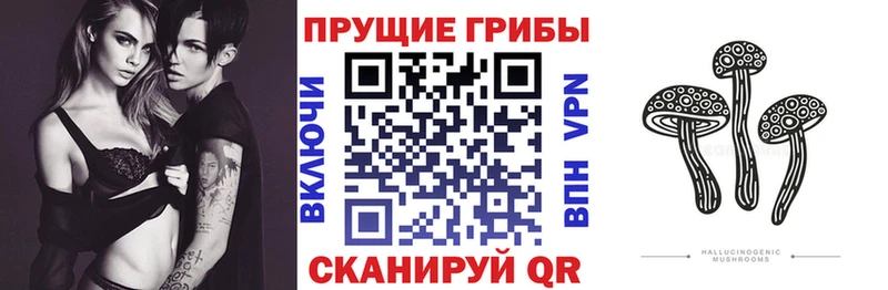 кракен рабочий сайт  даркнет телеграм  Псилоцибиновые грибы Magic Shrooms  Чадан 